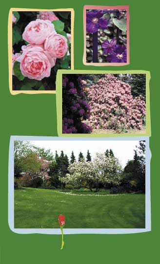 Beispielbilder aus den Gärten